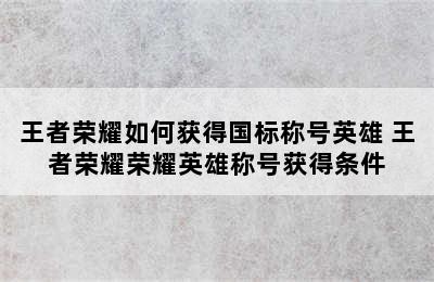 王者荣耀如何获得国标称号英雄 王者荣耀荣耀英雄称号获得条件